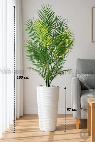 BİÇİÇEK 160 Cm Areka Ağaci 24 Yapraklı Beyaz Kumsal Saksıda ürün görseli 1