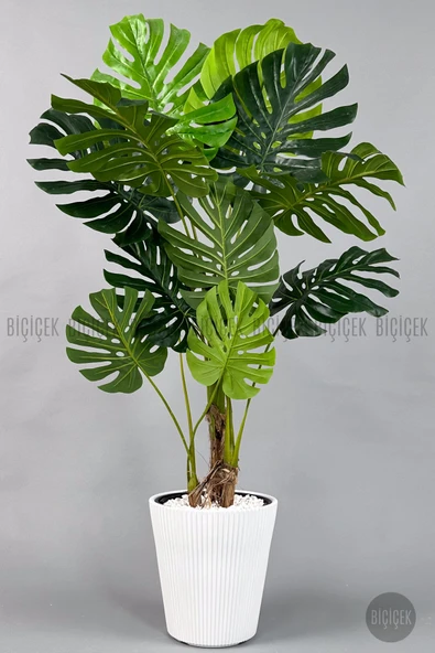 BİÇİÇEK Yapay Monstera Ağacı Deve Tabani 160 Cm Beyaz Luna Saksıda ürün görseli 1