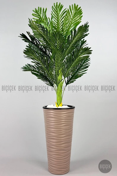 BİÇİÇEK Areka Ağaci 150 Cm Mocha Kumsal Saksıda Tek Gövdeli̇ ürün görseli 1