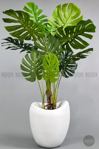 BİÇİÇEK Yapay Monstera Ağacı Deve Tabani 170 Cm Beyaz Lale Saksıda ürün görseli 1