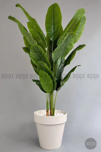 BİÇİÇEK Yapay Starli̇ce 220 Cm Bambu Gövdeli̇ 22 Yapraklı Krem Yali Saksıda ürün görseli 1