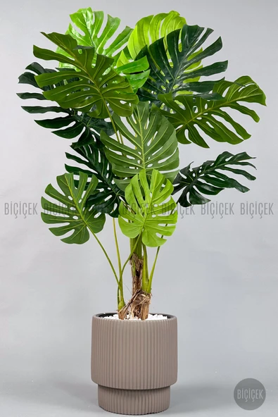 BİÇİÇEK Yapay Monstera Ağacı Deve Tabani 160 Cm Mocha Vega Saksıda ürün görseli 1