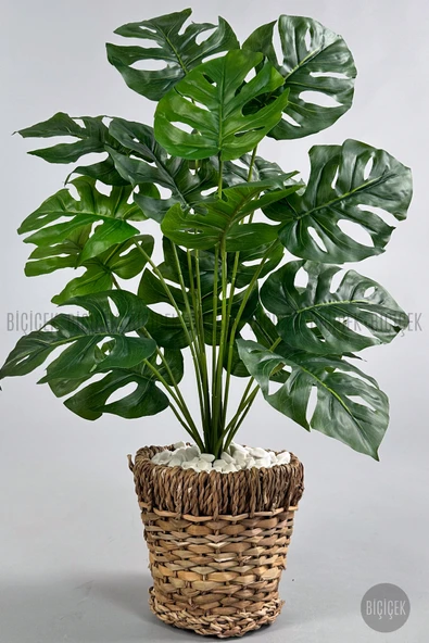 BİÇİÇEK Yapay Monstera Deve Tabani 65 Cm Demi̇r Destekli̇ Kulpsuz Hasir Saksıda ürün görseli 1