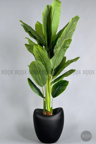BİÇİÇEK Yapay Muz Ağaci 210 Cm 4 Gövdeli̇ 21 Yaprak Mocha Lale Saksıda ürün görseli 1