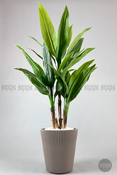 BİÇİÇEK Luna Saksı 37 Cm Mocha - Resim 3