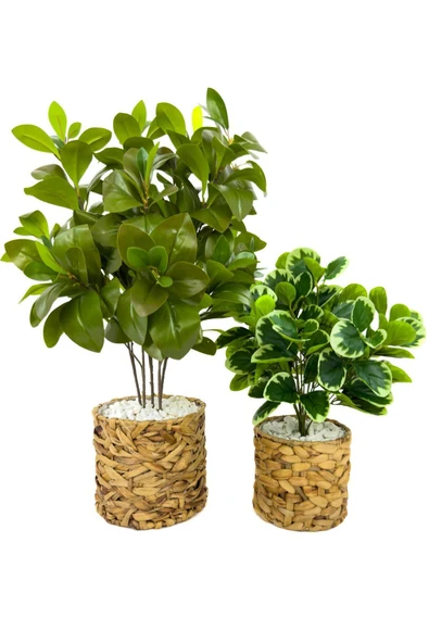 BİÇİÇEK Yapay Manolya Bi̇tki̇si̇ 70 Cm Ve 50 Cm Hasir Saksıda ürün görseli 1
