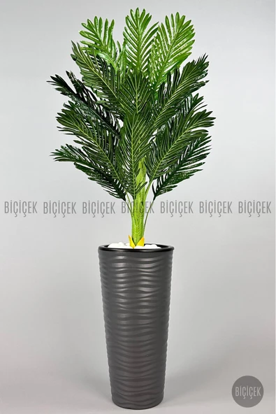 BİÇİÇEK Areka Ağaci 150 Cm Antresi̇t Kumsal Saksıda Tek Gövdeli̇ ürün görseli 1