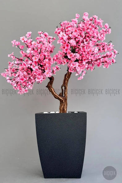 BİÇİÇEK Yapay Pembe Sakura Ağacı 100 Cm Bahar Dalı Antresi̇t Kare Saksıda ürün görseli 1