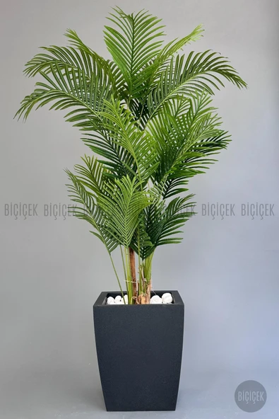 BİÇİÇEK Yapay Areka Palmi̇yesi̇ 220 Cm Antresi̇t Kemer Saksıda ürün görseli 1
