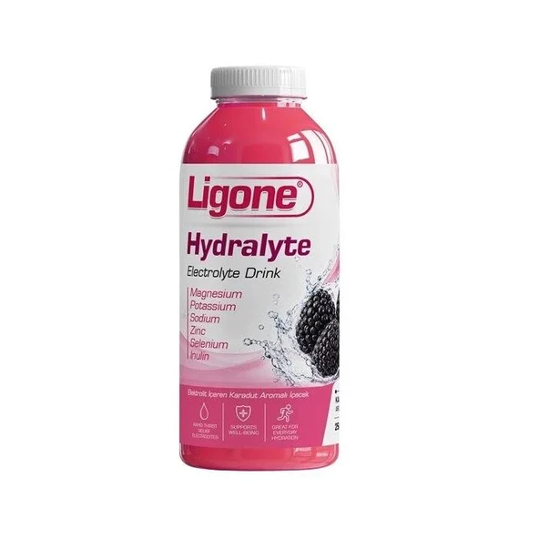 Ligone Hydralyte Electrolyte Drink Karadut Aromalı 250 ml ürün görseli 1