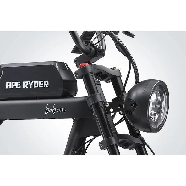 Ape Ryder Baboon - Resim 3