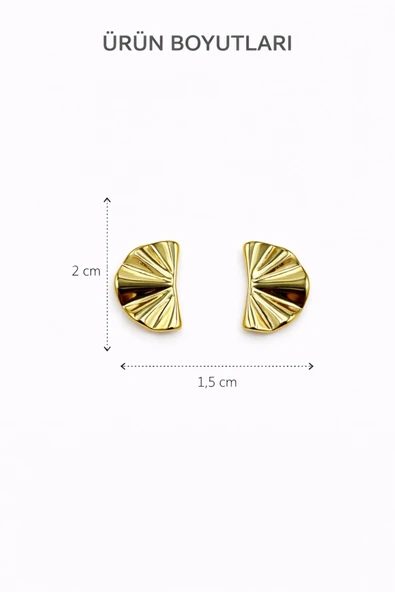 Shella Gold Çivi Küpe - Resim 3