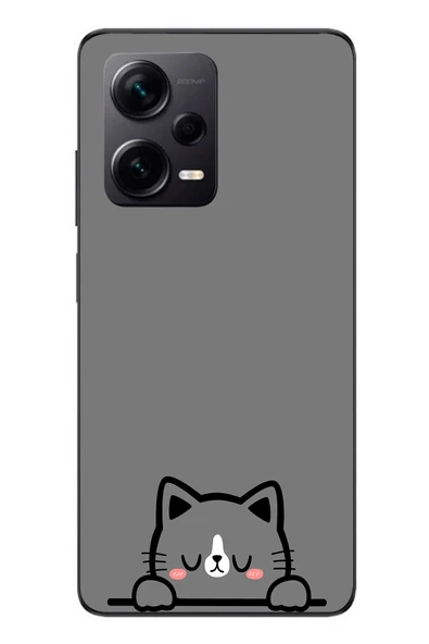 Le Balvo Redmi Note 12 Pro Plus Uyumlu Uyuyan Kedi Baskılı Silikon Kılıf ürün görseli 1
