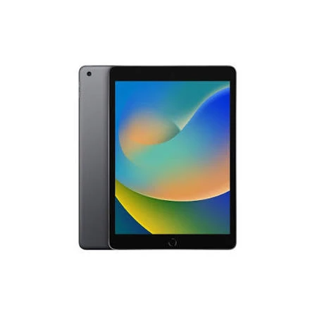 iPad 9. Nesil Wi-Fi + Cellular 64 GB 10.2" MK473TU/A Uzay Grisi Tablet ürün görseli 1