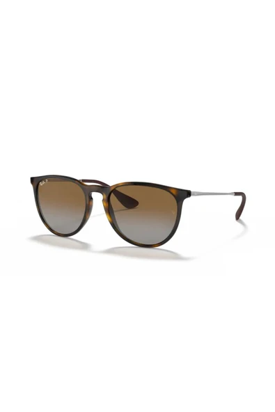 Ray-Ban RB 4171 710 T5 54 Unisex Güneş Gözlüğü ürün görseli 1