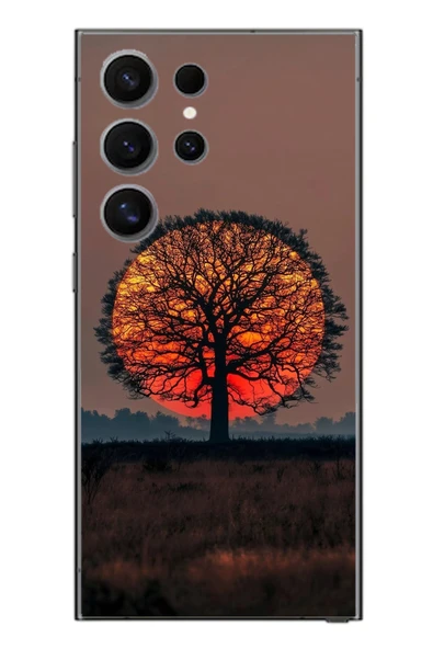 Le Balvo Samsung Galaxy S24 Ultra Uyumlu Güneşe Denk Gelen Ağaç Baskılı Silikon Kılıf ürün görseli 1