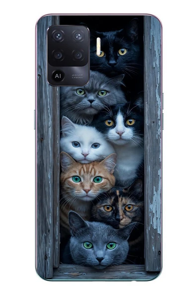 Le Balvo Oppo Reno 5 Lite Uyumlu Yavru Kediler Baskılı Silikon Kılıf ürün görseli 1