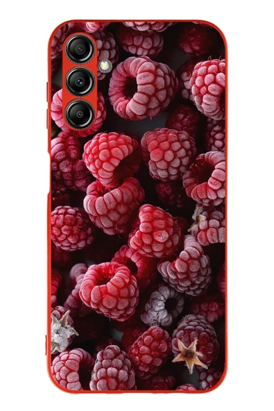Le Balvo Samsung Galaxy A14 Uyumlu Ahududu Frambuaz Baskılı Silikon Kılıf ürün görseli 1