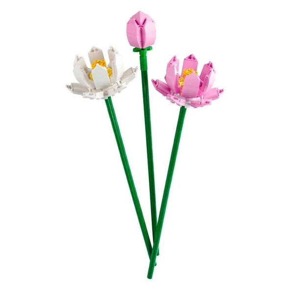 Lotus Çiçekleri 40647 ürün görseli 1