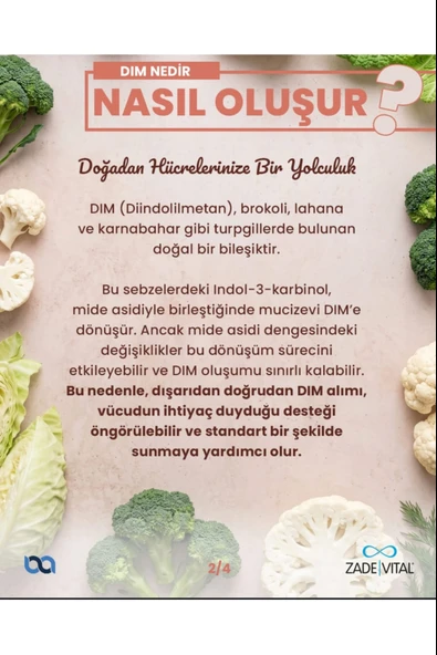 Zade Vital Dim Balance 30 Kapsül - Resim 2