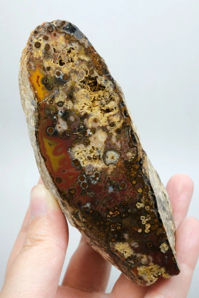 Eye-Banded Black Sea Agate - Derin Tuğla Kırmızısı, Hardal Sarısı ve Koyu Kahverengi Orbiküler ürün görseli 1