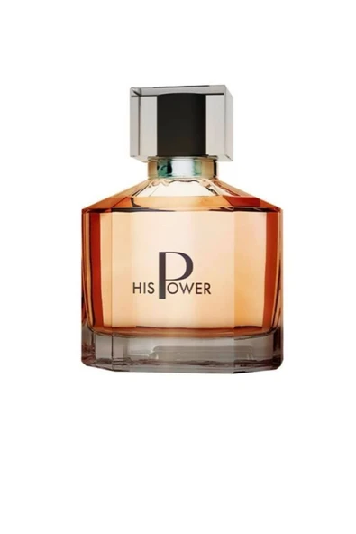 His Power Erkek Parfümü Edp 100 ml ürün görseli 1