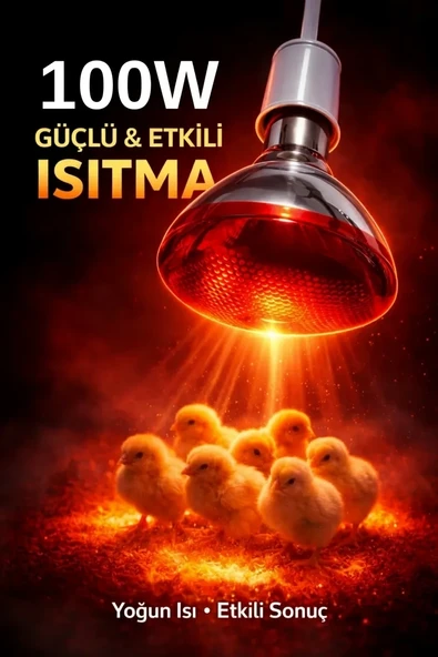 100W Isıtıcı Ampul Kırmızı Isı Lambası Civciv Kümes Kuluçka E27 Duy Isıtma Ampulü ürün görseli 1