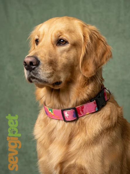 Kalp Desenli Ayarlanabilir Köpek Boyun Tasması Pembe 20 mm (35-60 cm) ürün görseli 1