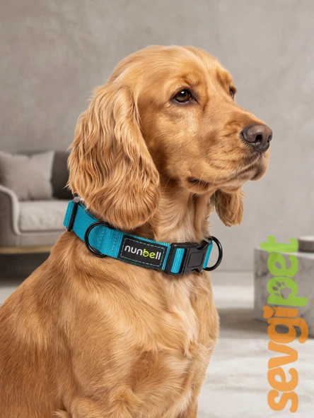 Ayarlanabilir Martingale Eğitim Köpek Boyun Tasması Mavi ürün görseli 1