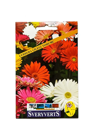 Gerbera Çiçeği Tohumu ürün görseli 1