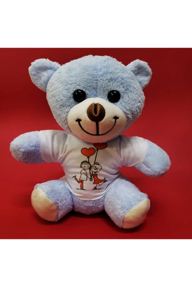 Mutlu Çift Tişörtlü Peluş Ayıcık ürün görseli 1