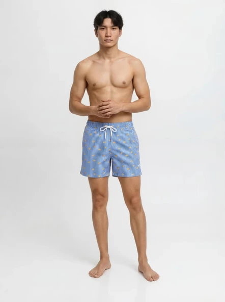 Jack&Jones 12291425 Erkek Sort - Mavi Cizgili ürün görseli 1