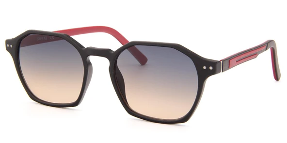 Swing SS319-CRB02 51 Unisex Güneş Gözlüğü ürün görseli 1