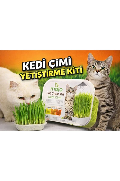 Cat Grass Kit Kedi Çimi – Evde Kolay Yetiştirme – Doğal Kedi Otu ürün görseli 1