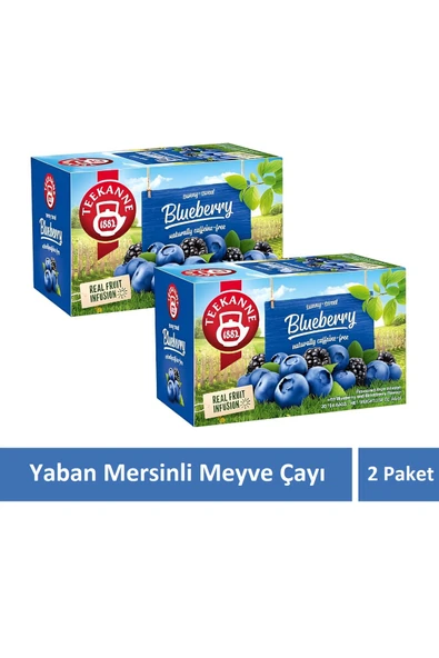 teekanne Yaban Mersinli Kafeinsiz Karışık Meyve Çayı Blueberry Çayı 2 Paket x 20 Süzen Poşet ürün görseli 1