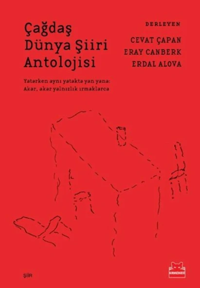 Çağdaş Dünya Şiiri Antolojisi ürün görseli 1