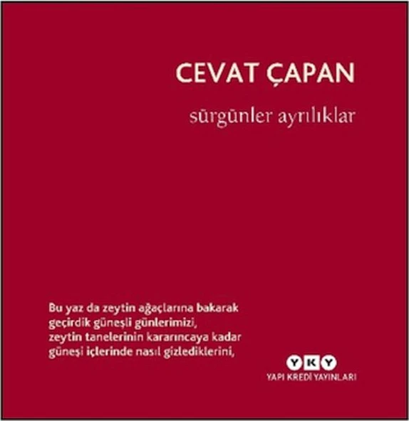 Sürgünler Ayrılıklar ürün görseli 1