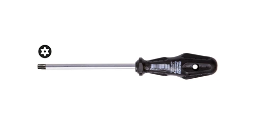 KLASS DELİKLİ TORX UÇLU TORNAVİDA T 25 X 100 MM (12 Adet) ürün görseli 1