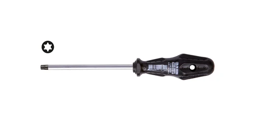 KLASS TORX UÇLU TORNAVİDA T 9 X 60 MM (12 Adet) ürün görseli 1