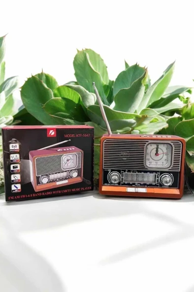Nostaljik Görünümlü USB Girişli Bluetooth Bağlantılı Ra - Resim 3