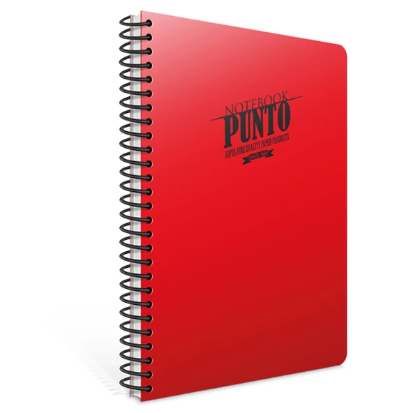 Gıpta Spiralli Defter Punto Plastik Kapak Çizgili 100 YP A4 3-6536000-2011 ürün görseli 1