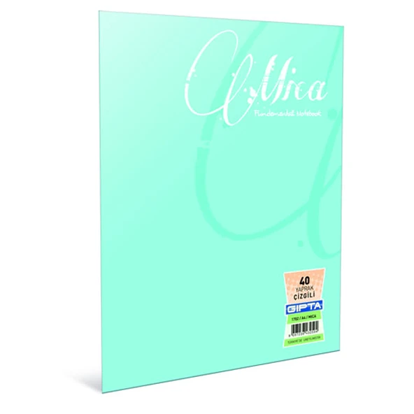 Gıpta Defter (Dikişli ) Mica Plastik Kapak Çizgili 100 YP A5 2934 ürün görseli 1