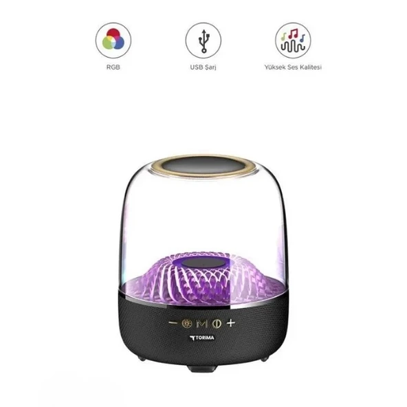 D33 Siyah Taşınabilir Kablosuz Bluetooth Hoparlör ürün görseli 1