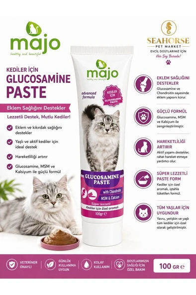 Kediler İçin Glucosamine Paste 100 GR ürün görseli 1