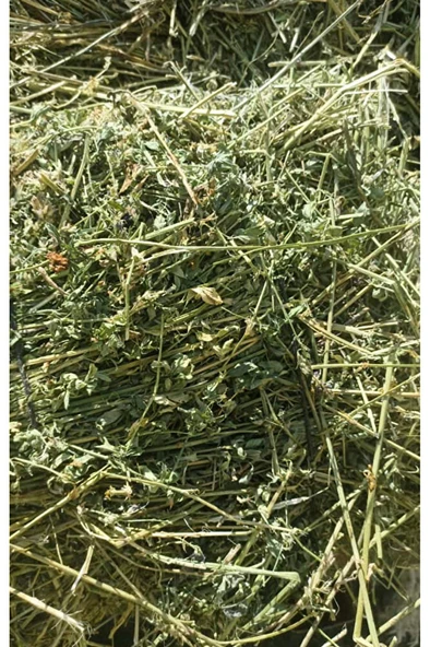 Yonca Kuru Kemirgen Otu 2 kg Bol Çiçekli. ürün görseli 1