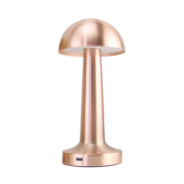 PANTHER PT-700 ROSE USB ŞARJLI MASA LAMBASI ürün görseli 1