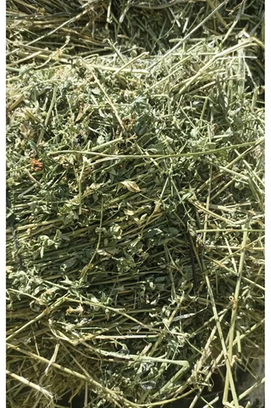 Kuru Yonca Kemirgen Otu 1 Kg Bol Çiçekli ürün görseli 1