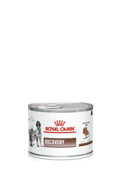 Royal Canin Recovery Kedi & Köpek Maması 195gr Kedi ve Köpekler İçin Beslenme Desteği ürün görseli 1