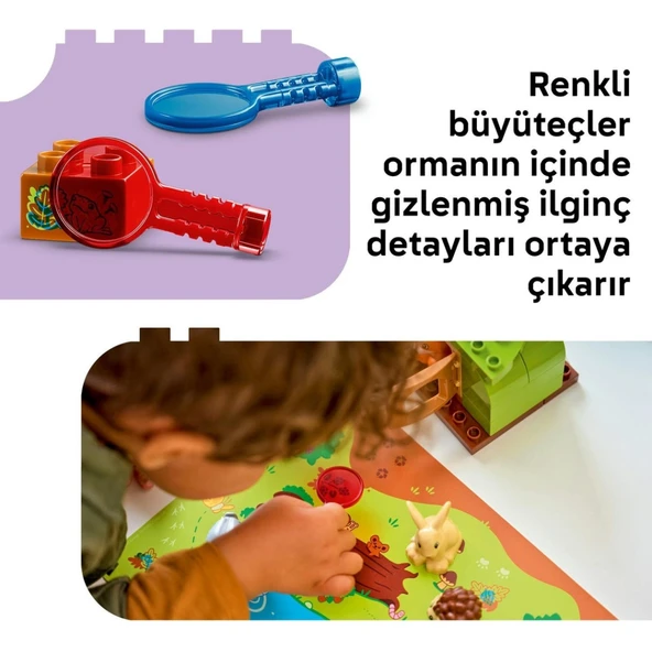 Vahşi Hayvanlarla Keşif Ormanı 10480 - Resim 3