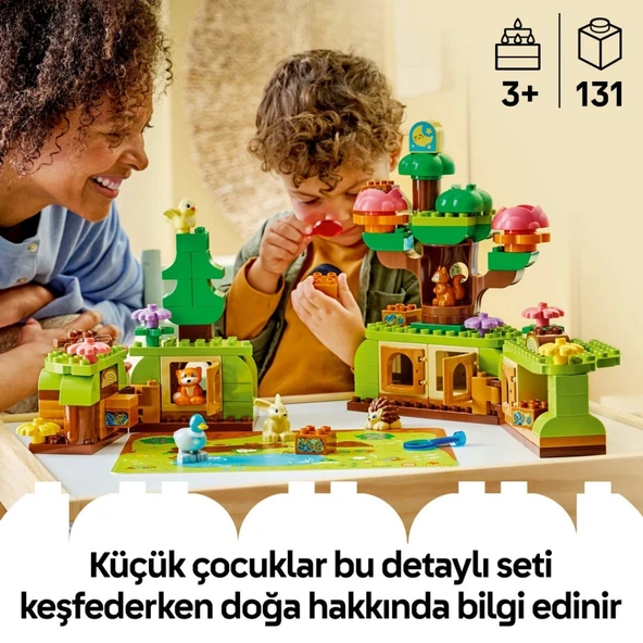 Vahşi Hayvanlarla Keşif Ormanı 10480 - Resim 4